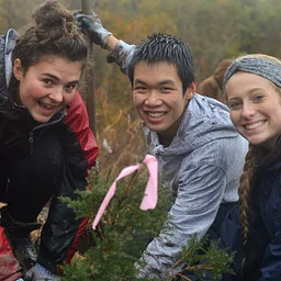 Habitat Restoration Drop In – Oct. 28