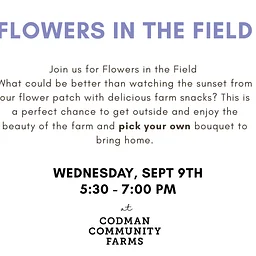 Flowers in the Field, September 9th