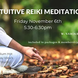 Intuitive Reiki Meditation w/Sarina (November)