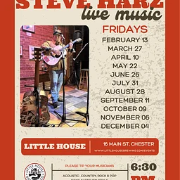 Live Music: Steve Harz
