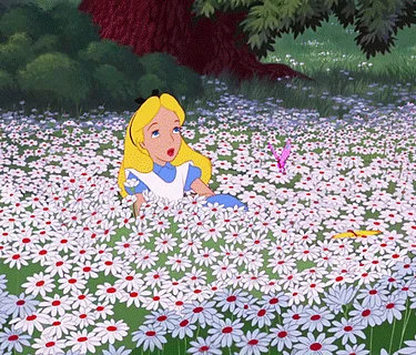 DIY & DINE: Petals & Prosecco - Bouquet Making