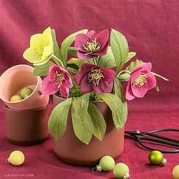 Crepe Paper Hellebores