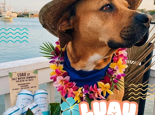 Lūʻau Party on the Creek