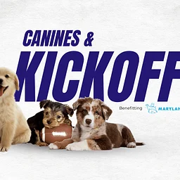 Canines & Kickoffs