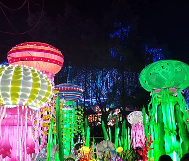 Luminosa: A Journey Through Light