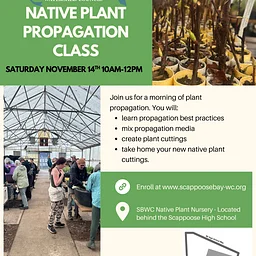Native Plant Propagation Class – November 2026