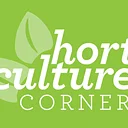 Horticulture Corner: The Art and Science of Crinum Lily Breeding