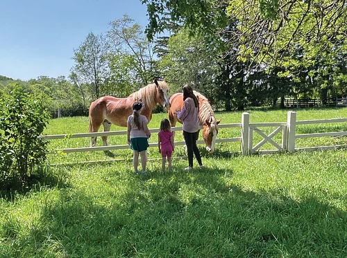 Spring Homeschool Day