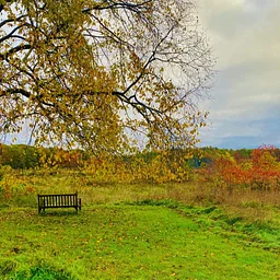 Story Time at Pleasant Hill Preserve: Fall Leaves