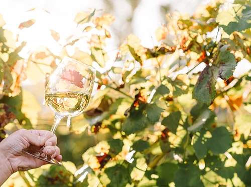 Market Table Bistro x Barrel Oak Winery