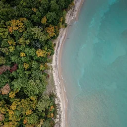 Science on Tap: Creatures of the Land & Sea