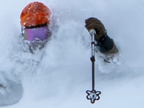 Preview The New Presented By Bergs