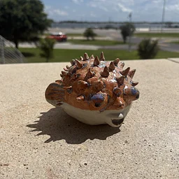 Puffer Fish Family Class
