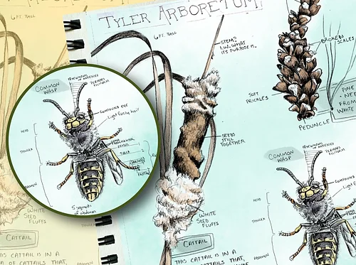 Nature Journaling Single Class: Class 4