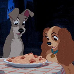 An Enchanted Dinner