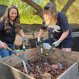 Backyard Composting Basics Workshop