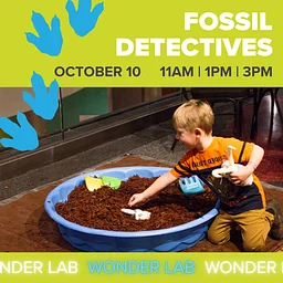 Wonder Lab: Fossil Detectives