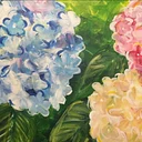 Hydrangea Mania