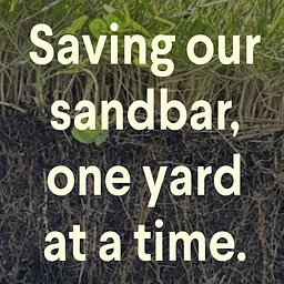 Organic Lawn Essentials: Saving Our Sandbar One Yard at a Time