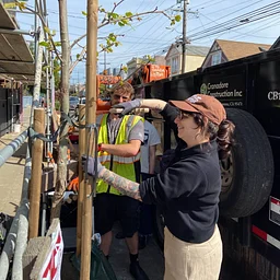 Richmond | Community Tree Care