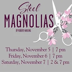 Steel Magnolias – Bel Air Drama Company