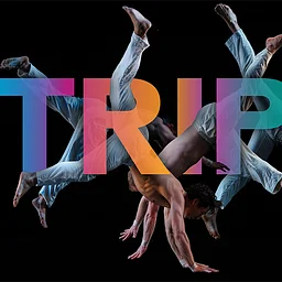 Pilobolus