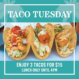 RUMBA Taco Tuesday