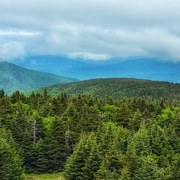 Protect the Path Hiking Series: Hunter Mountain Fire Tower