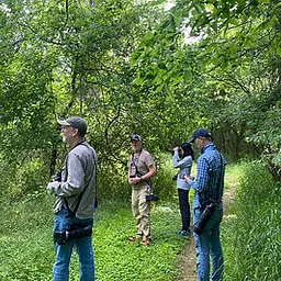 Monthly Bird Survey