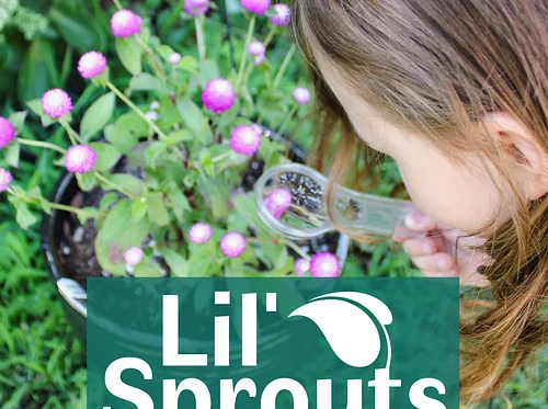 Lil' Sprouts