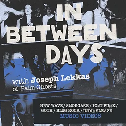 In Between Days: Alt Music Video DJ