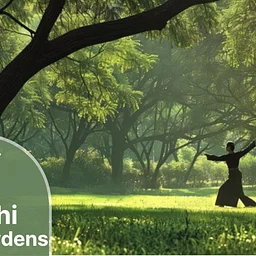 Tai Chi in the Gardens