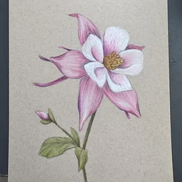 Mixed Media Workshop: Colored Pencils