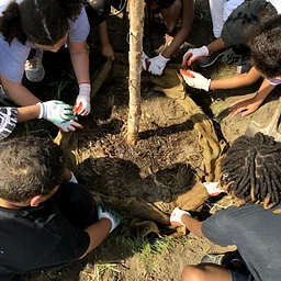 Detroit Community Tree Planting