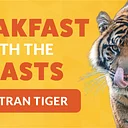 Breakfast with the Beasts: Sumatran Tiger