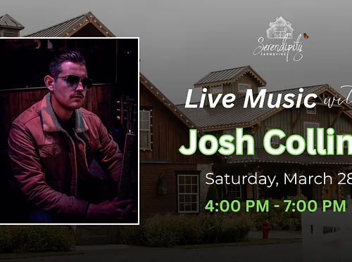 Live Music with Josh Collins