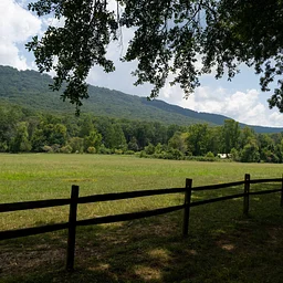 Spirits and Sustainability with Green|Spaces