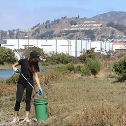 Colma Creek - Coastal Clean-Up Day