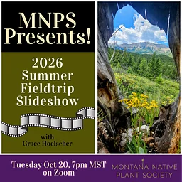 MNPS Presents… 2026 Summer Field Trip Slideshow!