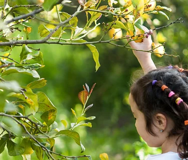 Plant Needs: Fun in the Sun · August Seeds to Sprouts