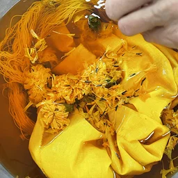 Plant-Based Fabric Dyeing: A Drop-In Event