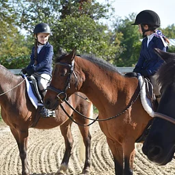 Hunter Seat Schooling Show