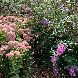 September Garden Tour