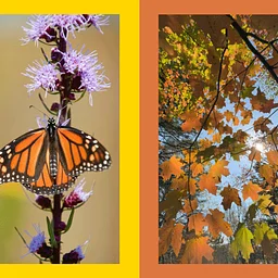 A Dance of Seasons: Opening Weekend Celebration