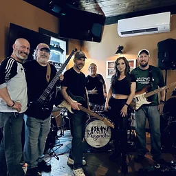 The Mugshots Band