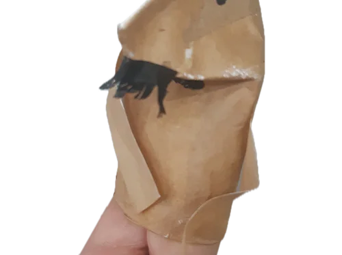 Puppet show with Tim Guigni: Walidad the grass cutter