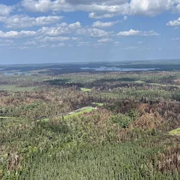 Considering the Impacts of Scale to Wildlife in Prescribed Fire Planning