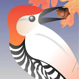Fall Fest Saturday Bird Walk