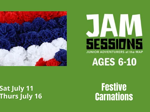 JAM Sessions: Festive Carnations