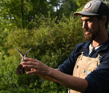 Bird Banding at the Lindsay-Parsons Biodiversity Preserve